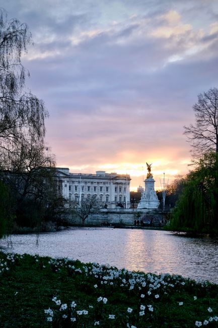 The image depicts a scenic view of a city park at sunset, featuring a large white neoclassical building with multiple windows and ornate architectural details on the left side. In the foreground, there is a calm river or pond with reflective water, bordered by green grass and a bed of small white flowers along the bank. Tall, leafless trees with slender branches frame both sides of the scene, some leaning slightly inward, adding natural texture. In the center background, a prominent white monument or statue topped with a golden figure is visible, situated on a pedestal with other decorative elements. The sky above exhibits soft pastel colors—pinks, purples, and blues—indicating the sun setting behind the buildings, creating a gentle, diffused light across the scene. The overall environment combines natural and architectural elements typical of an urban landscape used for leisure and public gatherings, which might be associated with private or independent waste collection and clearing services such as those offered by House Clearance Westminster, especially when managing rubbish around such historic sites.